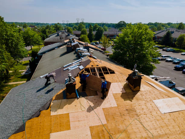 Best Flat Roof Repair Services  in Frederick, OK