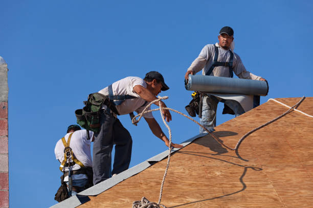 Best Metal Roofing Contractor  in Frederick, OK