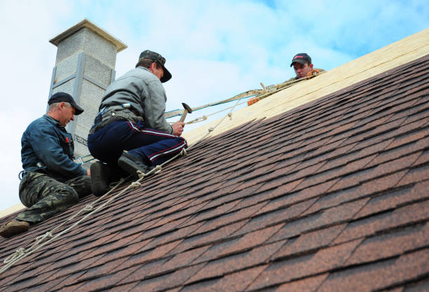 Best Flat Roof Repair Services  in Frederick, OK
